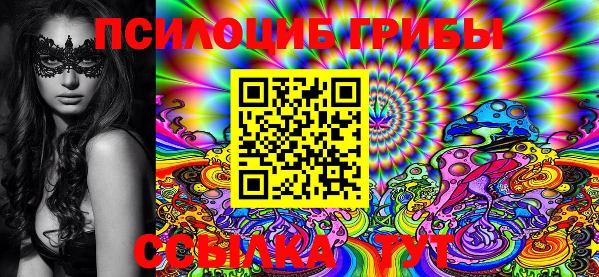 Малгобек  Галлюциногенные грибы Cubensis  Вход с VPN 